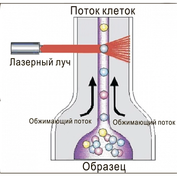 Товар pro-solution